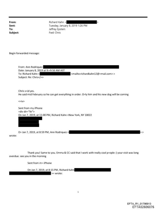 Preview of EFTA02606076