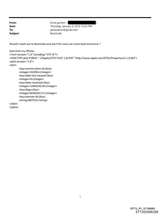 Preview of EFTA02606108