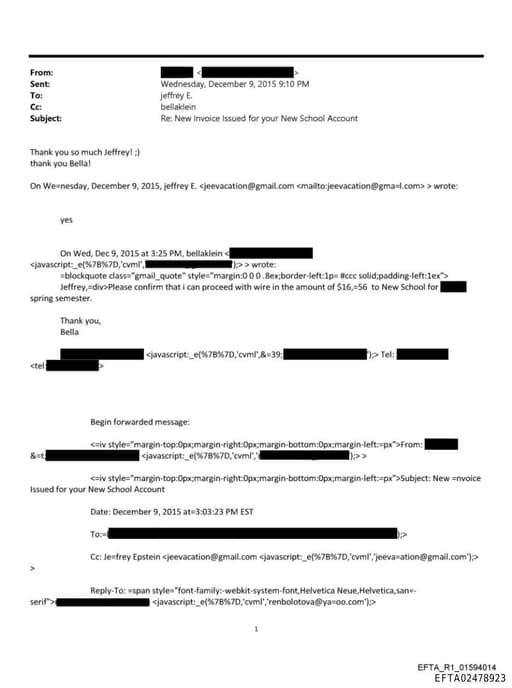 Preview of EFTA02478923