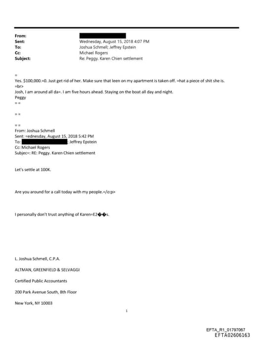 Preview of EFTA02606163