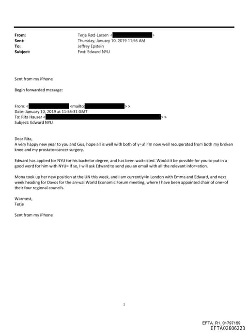 Preview of EFTA02606223