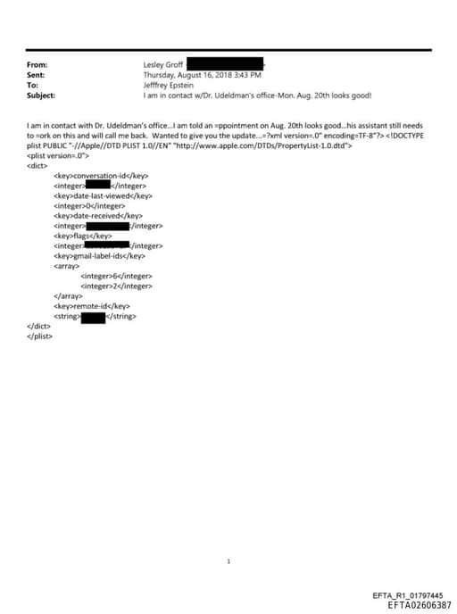 Preview of EFTA02606387