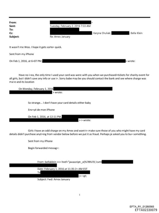 Preview of EFTA02330079