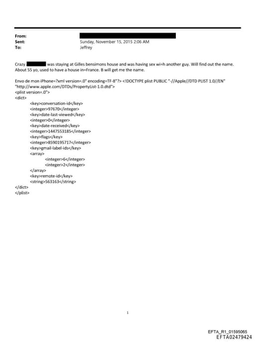 Preview of EFTA02479424