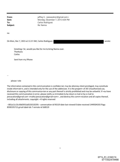 Preview of EFTA02479498