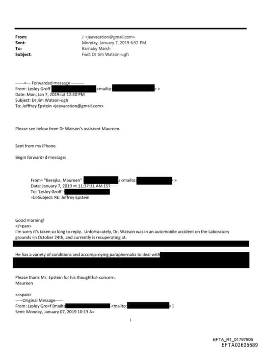 Preview of EFTA02606689