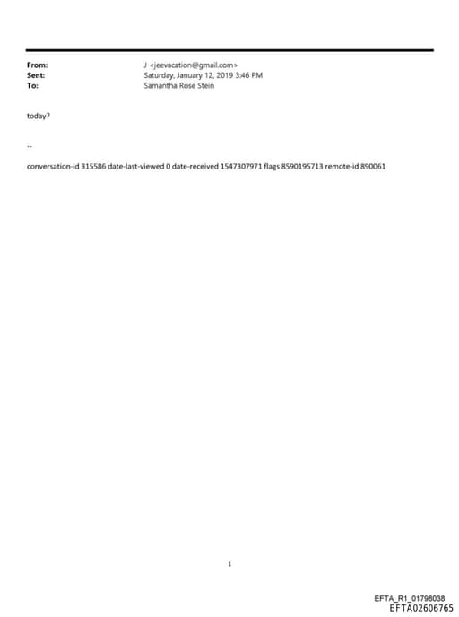 Preview of EFTA02606765