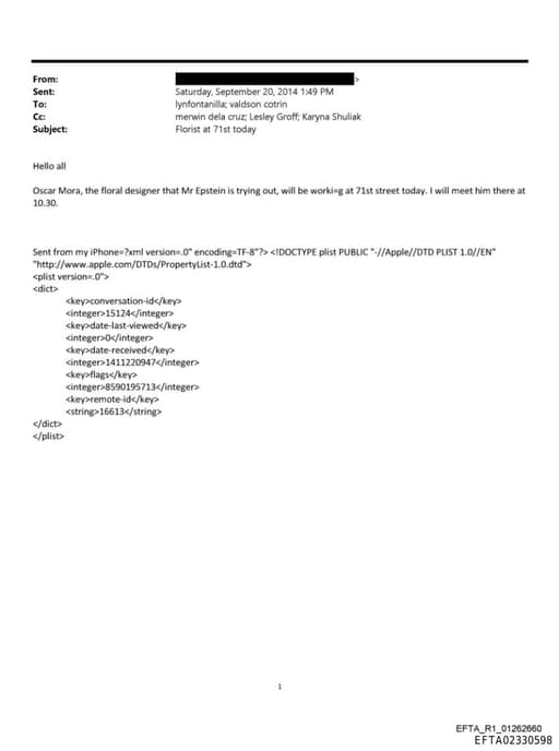 Preview of EFTA02330598