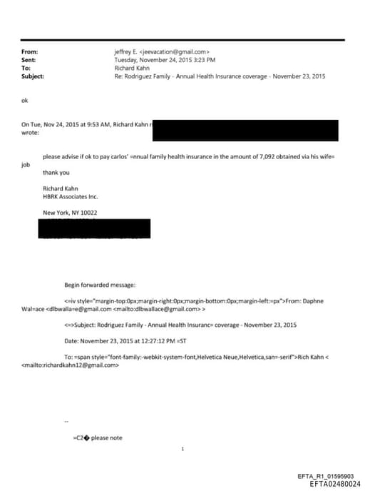 Preview of EFTA02480024