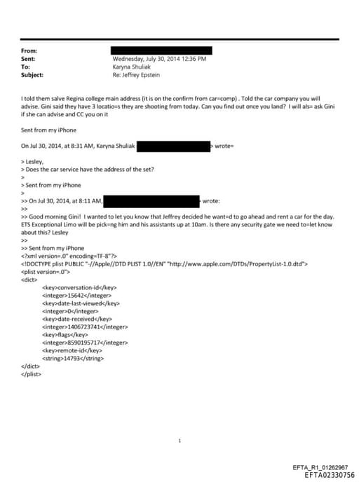 Preview of EFTA02330756