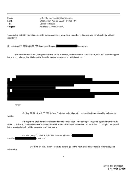 Preview of EFTA02607086