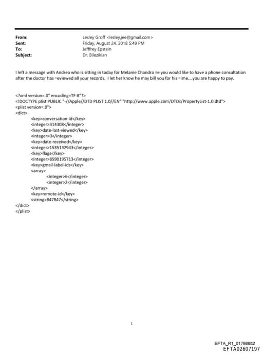 Preview of EFTA02607197