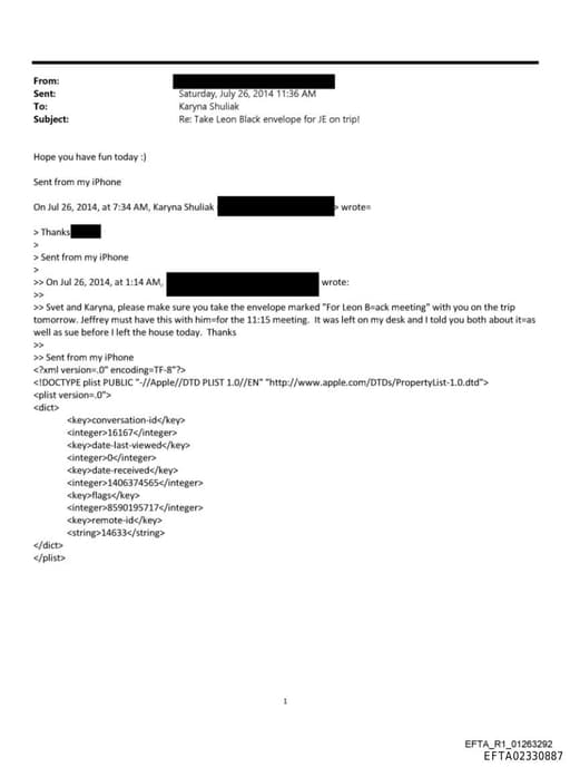 Preview of EFTA02330887