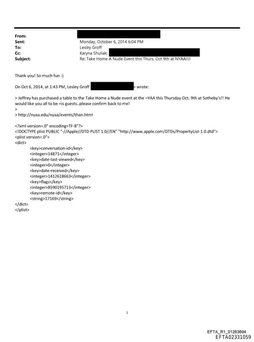 Preview of EFTA02331059