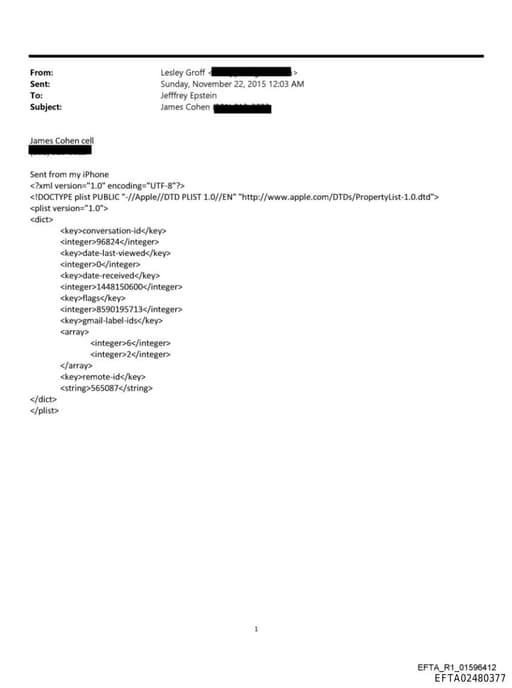 Preview of EFTA02480377