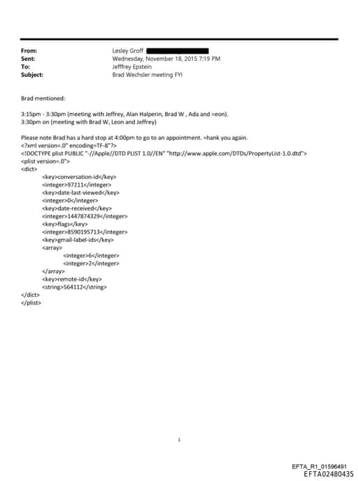 Preview of EFTA02480435