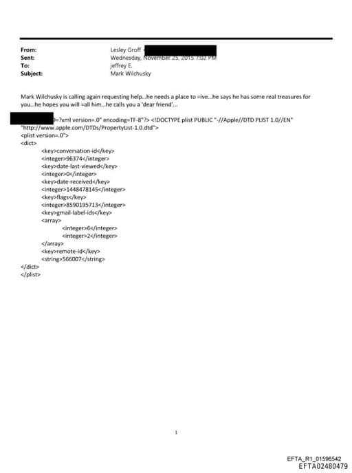 Preview of EFTA02480479