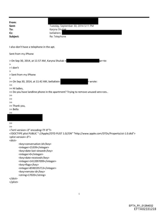 Preview of EFTA02331218