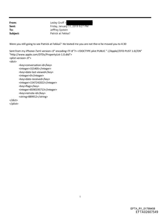 Preview of EFTA02607549