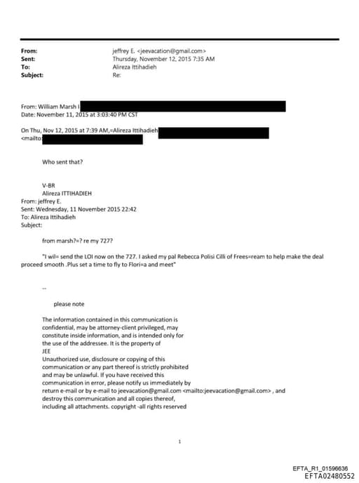 Preview of EFTA02480552