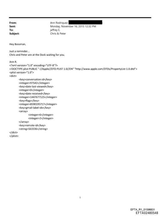 Preview of EFTA02480548