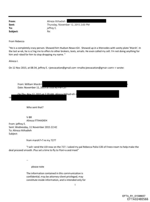 Preview of EFTA02480566