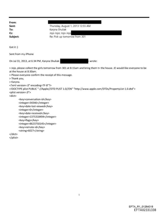 Preview of EFTA02331338