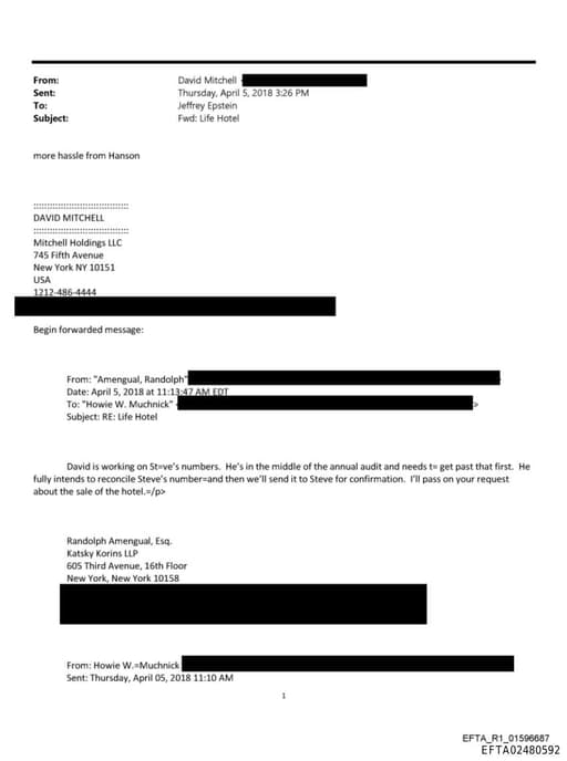 Preview of EFTA02480592