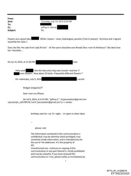 Preview of EFTA02331425