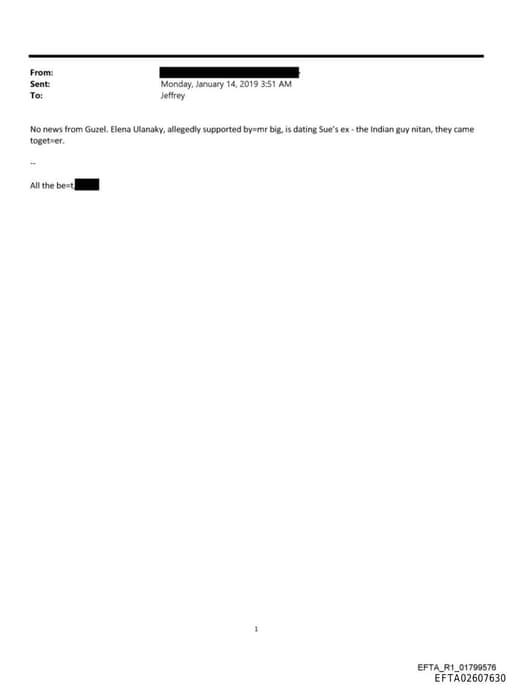 Preview of EFTA02607630