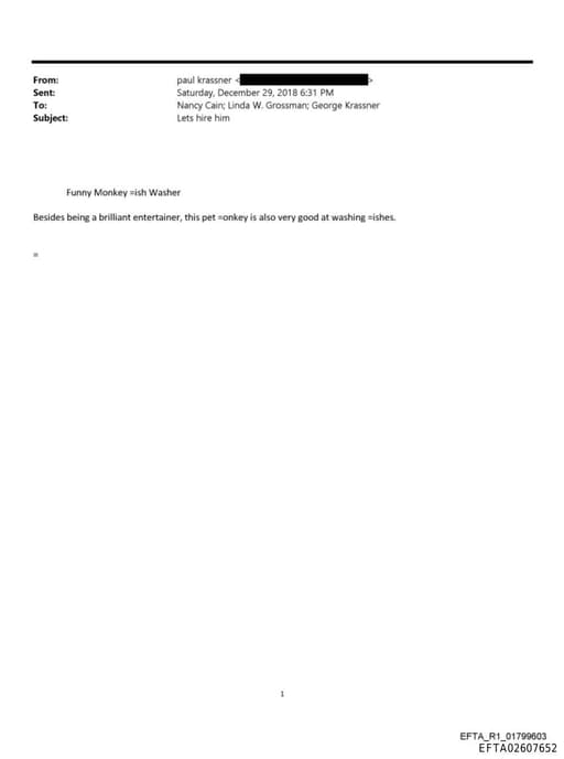 Preview of EFTA02607652