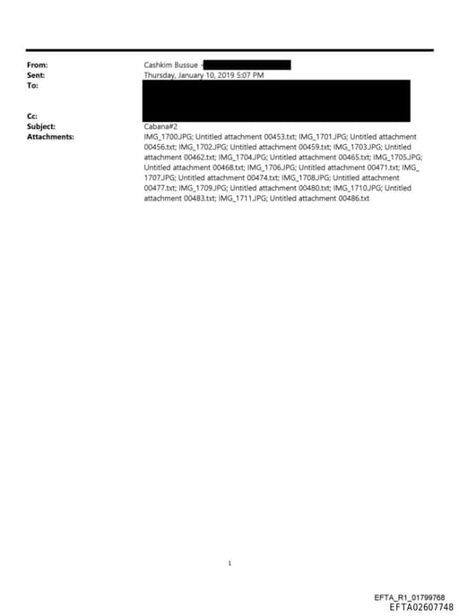 Preview of EFTA02607748