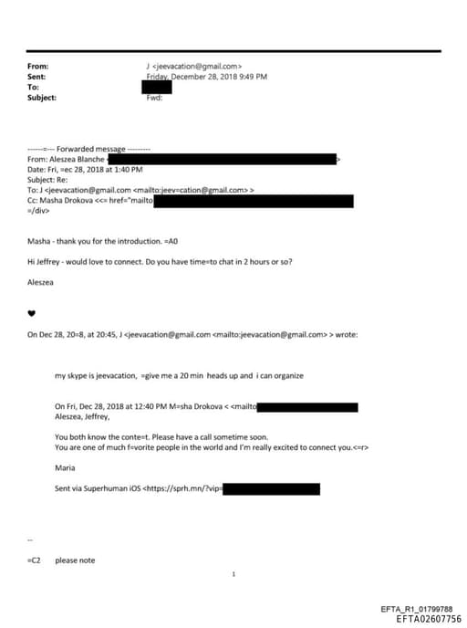 Preview of EFTA02607756