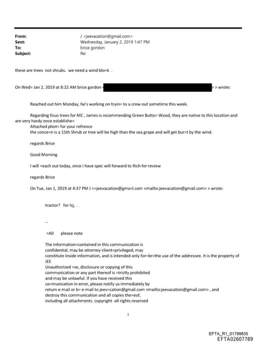 Preview of EFTA02607789