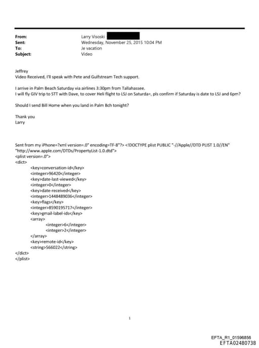 Preview of EFTA02480738