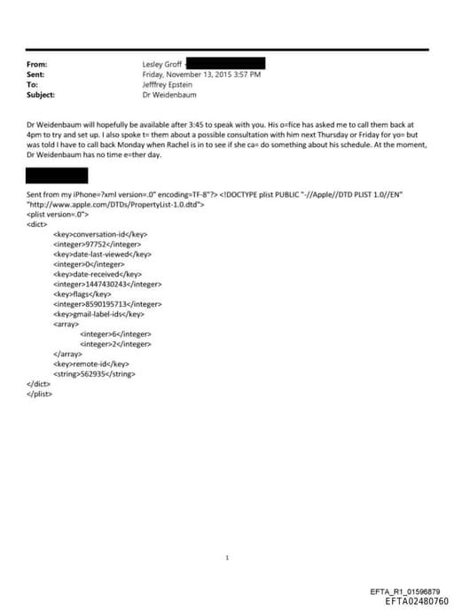 Preview of EFTA02480760