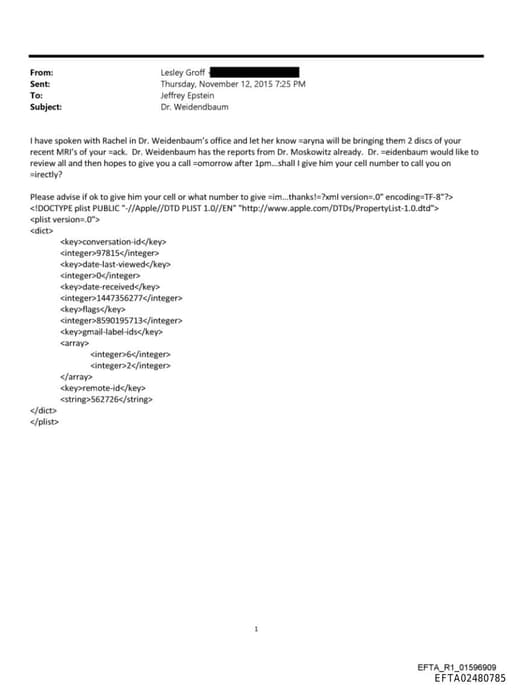 Preview of EFTA02480785