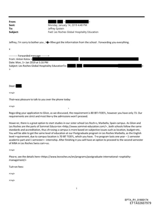 Preview of EFTA02607979