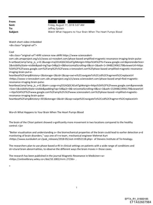 Preview of EFTA02607984