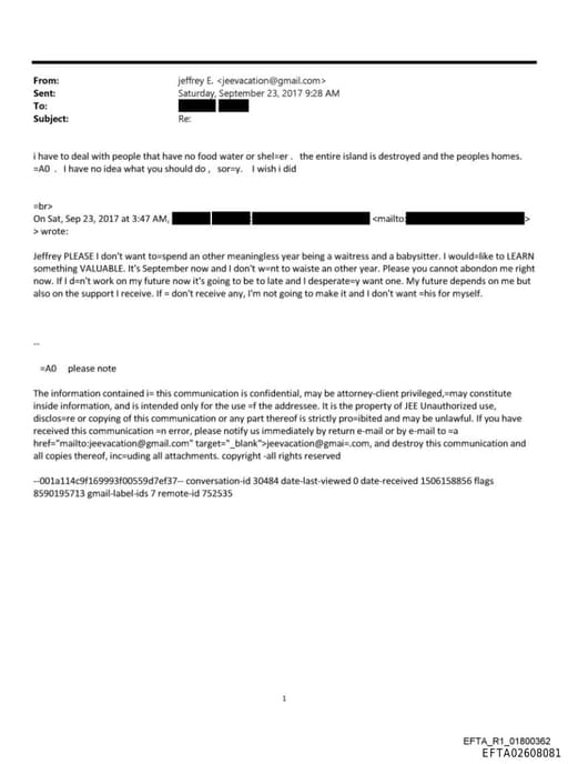 Preview of EFTA02608081