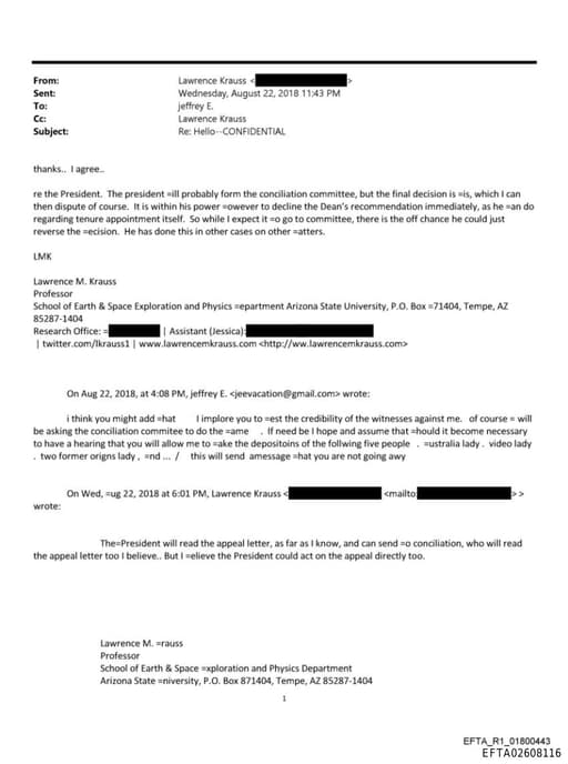 Preview of EFTA02608116