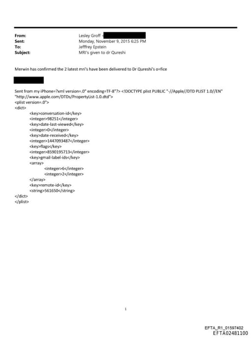 Preview of EFTA02481100