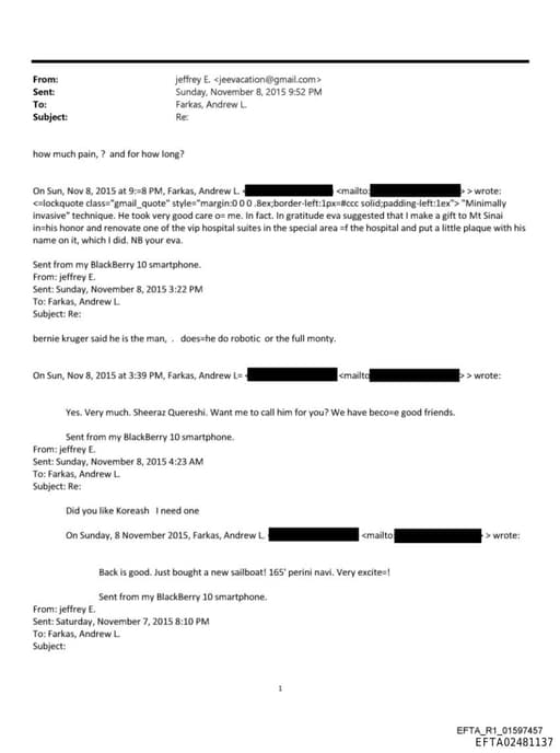 Preview of EFTA02481137