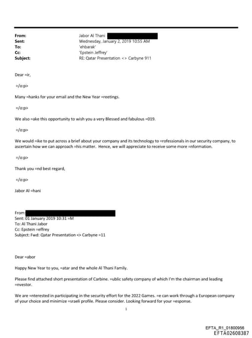 Preview of EFTA02608387