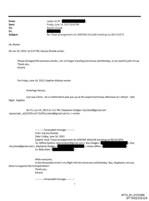 Preview of EFTA02332124