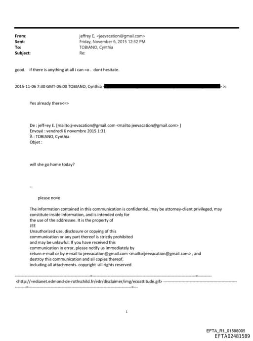 Preview of EFTA02481589