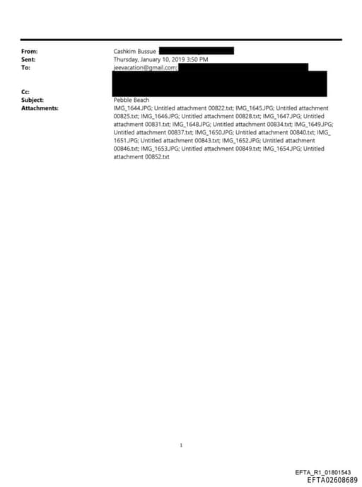 Preview of EFTA02608689