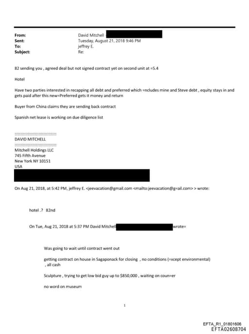 Preview of EFTA02608704