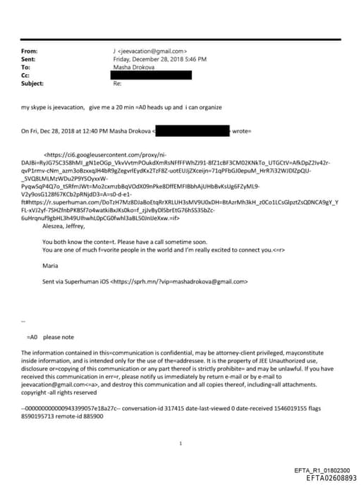 Preview of EFTA02608893