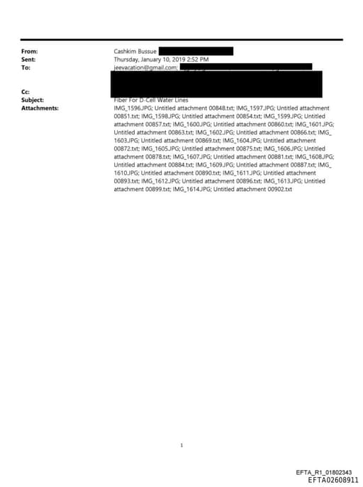 Preview of EFTA02608911